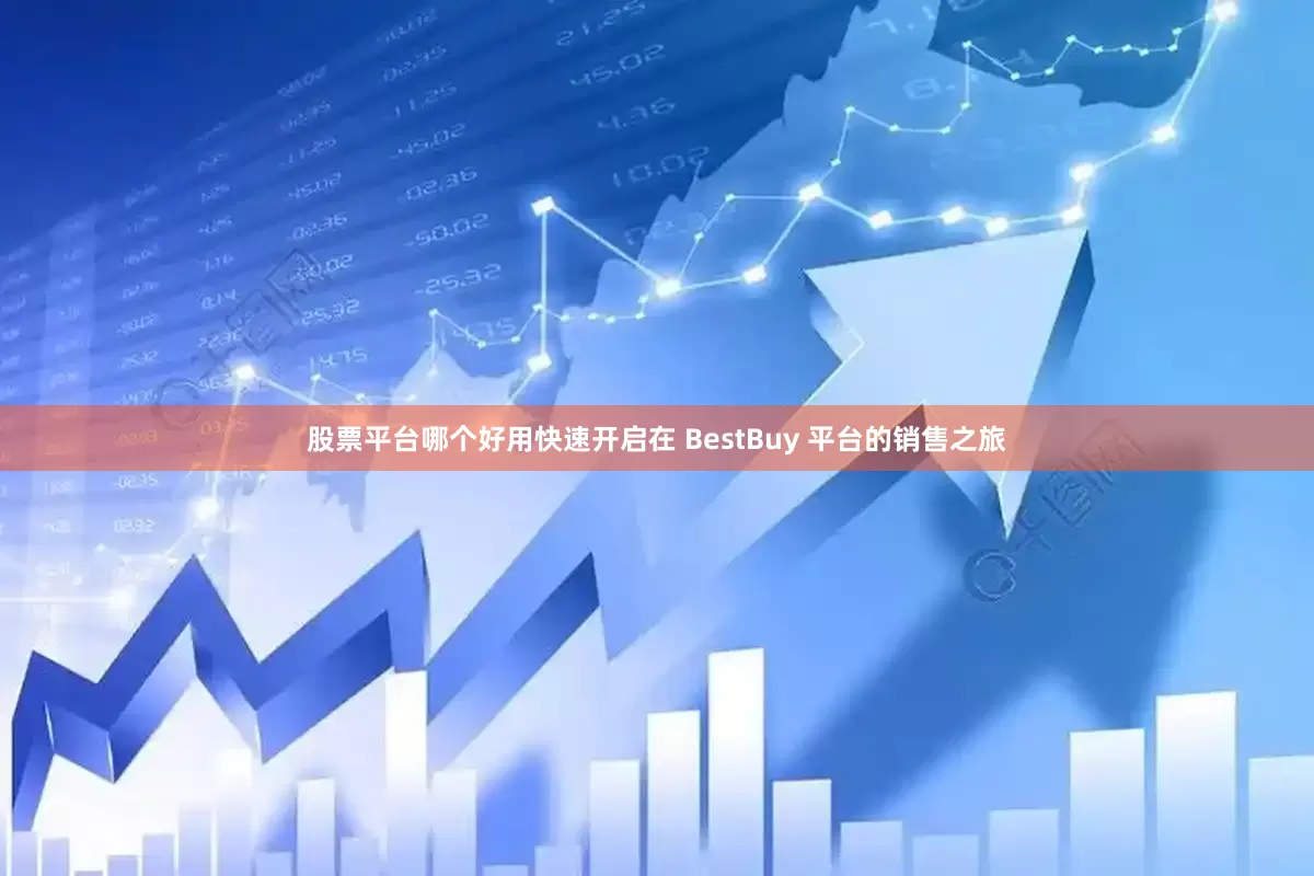 股票平台哪个好用快速开启在 BestBuy 平台的销售之旅