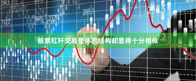 股票杠杆交易整体的结构却显得十分相似