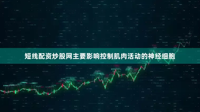 短线配资炒股网主要影响控制肌肉活动的神经细胞