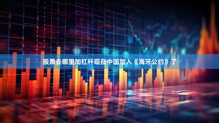 股票去哪里加杠杆现在中国加入《海牙公约》了